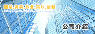 廣州岳信試驗設備有限公司創(chuàng)立于2013年。早在2003年，廣州岳信初創(chuàng)團隊就開始從事防水測試設備行業(yè)深耕二十余年，岳信已然成為防水測試行業(yè)的一根標桿，在國內(nèi)防水測試技術(shù)領(lǐng)域始終處于先驅(qū)者地位。
  隨著二十余年的專注和積淀讓岳信擁有了一支15人研發(fā)團隊、40人組裝團隊、10人售后團隊；獲得了6項發(fā)明專利、14項新型發(fā)明專利、3項外觀發(fā)明專利、3項軟件著作權(quán)專利；2016年順利通過了廣州市科技小巨人企業(yè)、獲得知識產(chǎn)權(quán)證書；2018年獲得廣東省科技型中小企業(yè)高新技術(shù)企業(yè)認證；2020年獲得信用示范單位；2022年獲得科技中小型企業(yè)、創(chuàng)新小巨人；2023年獲得專精特新、CE證書；2024年獲得創(chuàng)新型中小企業(yè)。